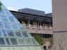 Texas A & M International University
